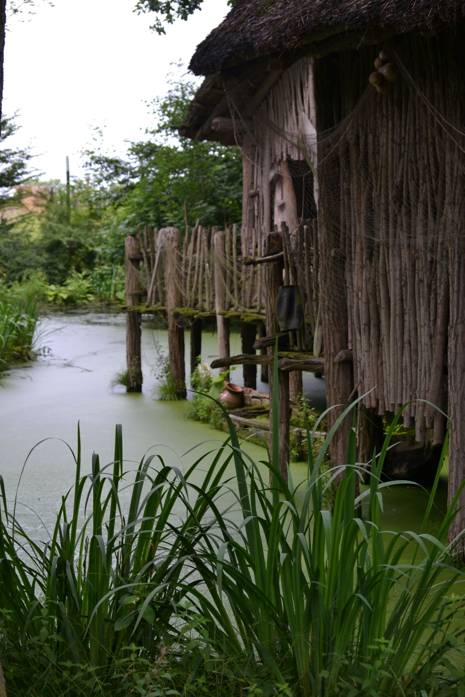 Nikon D3100 sample photo. Africa, african, hut, marsh photography