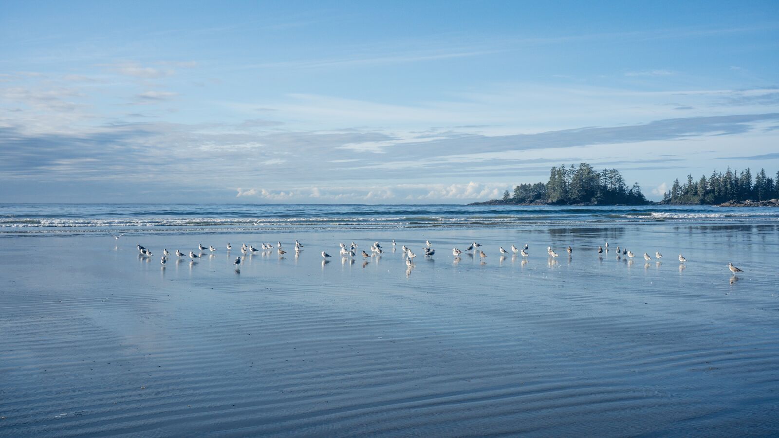 Sony FE 24-105mm F4 G OSS sample photo. Beach, tofino, vancouver island photography