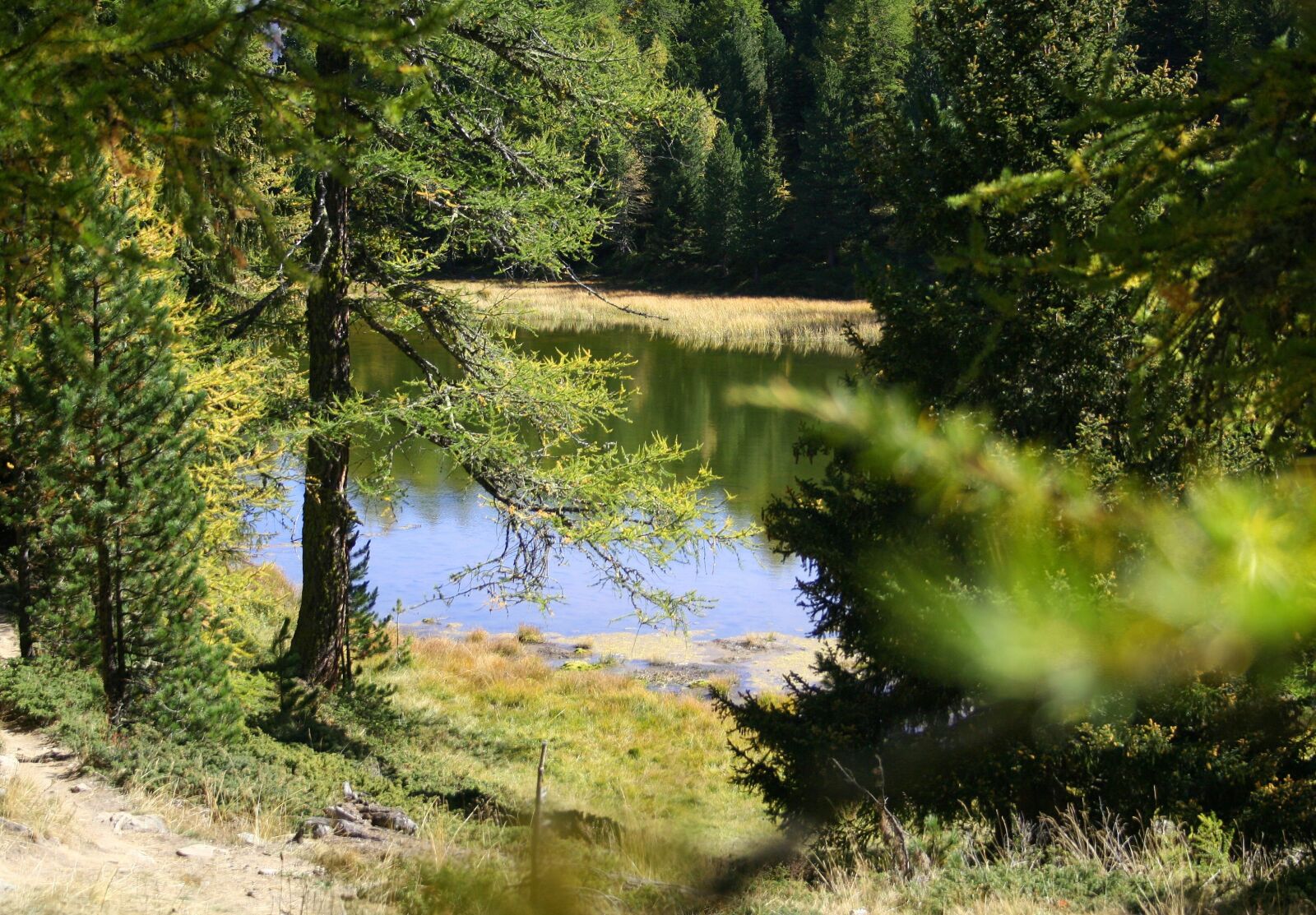 Canon EOS 350D (EOS Digital Rebel XT / EOS Kiss Digital N) sample photo. Hiking, pond, biotope photography