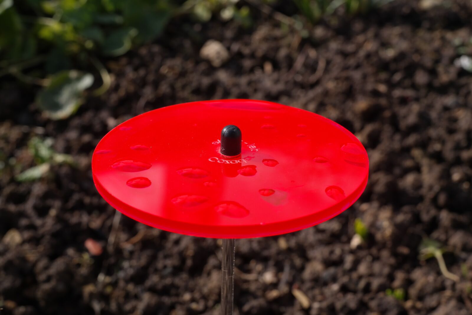 Samsung NX300 sample photo. Light catcher, red, neon photography