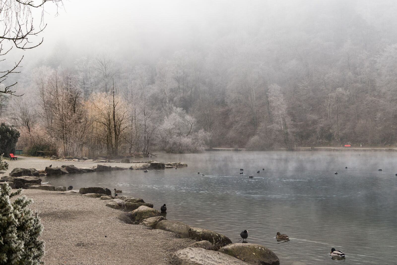 Canon EOS 6D Mark II sample photo. Ice, winter, cold photography