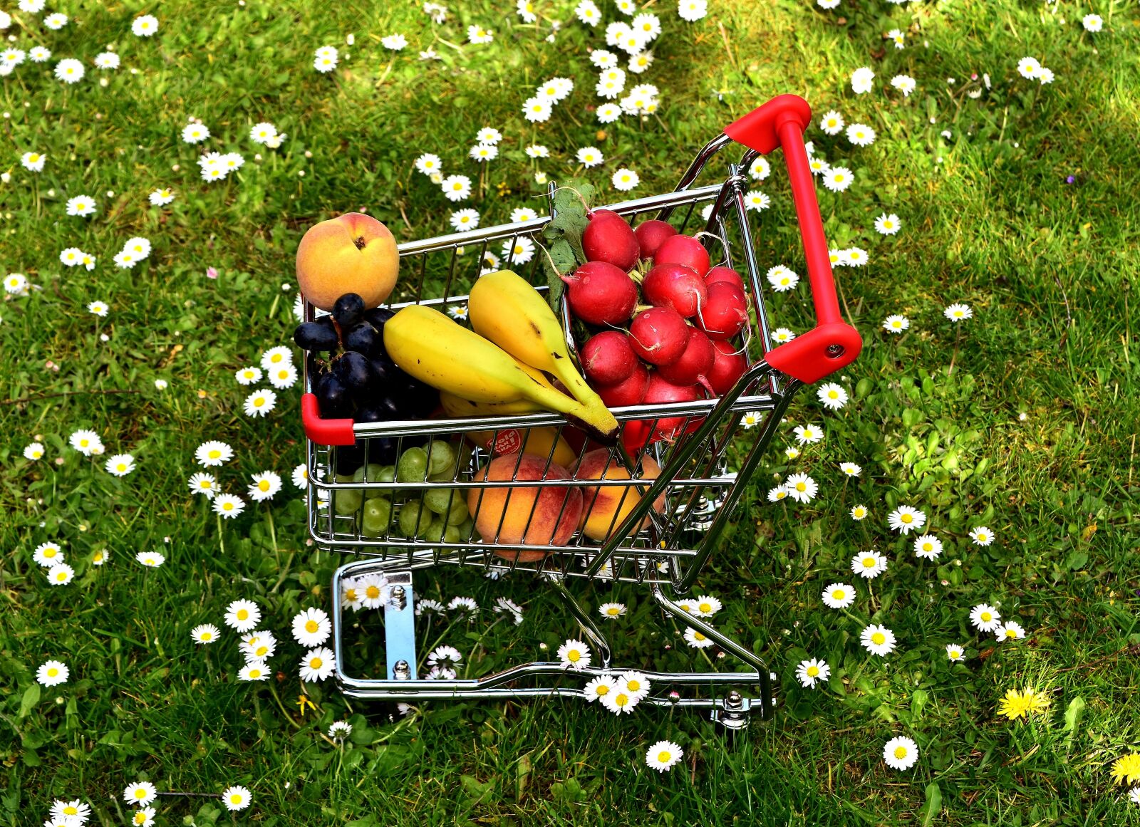 Nikon D7200 sample photo. Shopping cart, healthy shopping photography