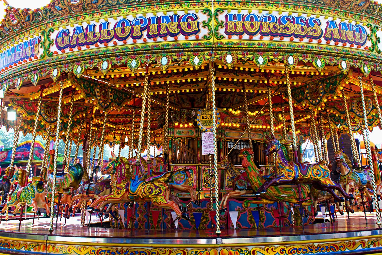 Nikon D3400 sample photo. Carousel, ride, horses photography