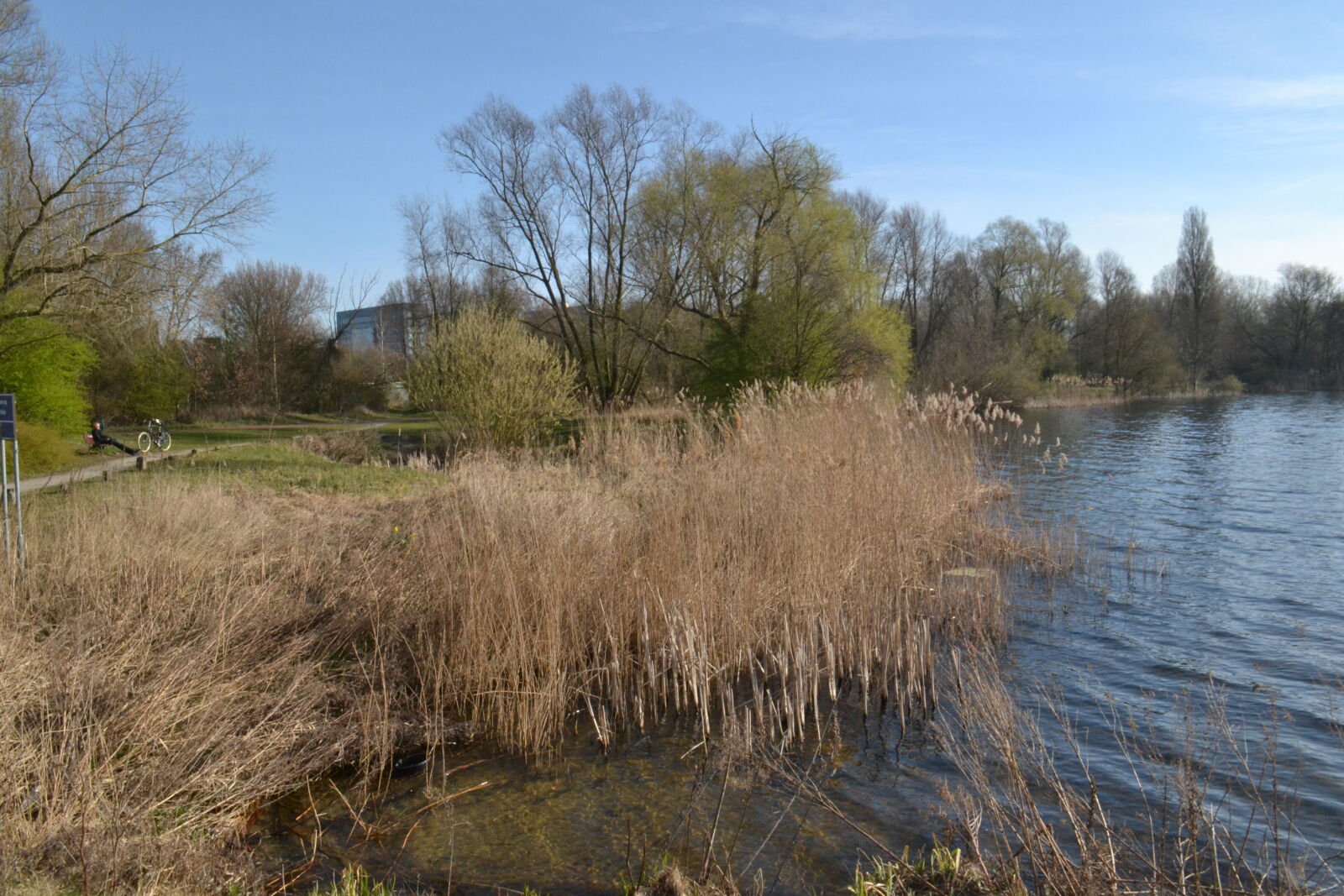 Nikon D3100 sample photo