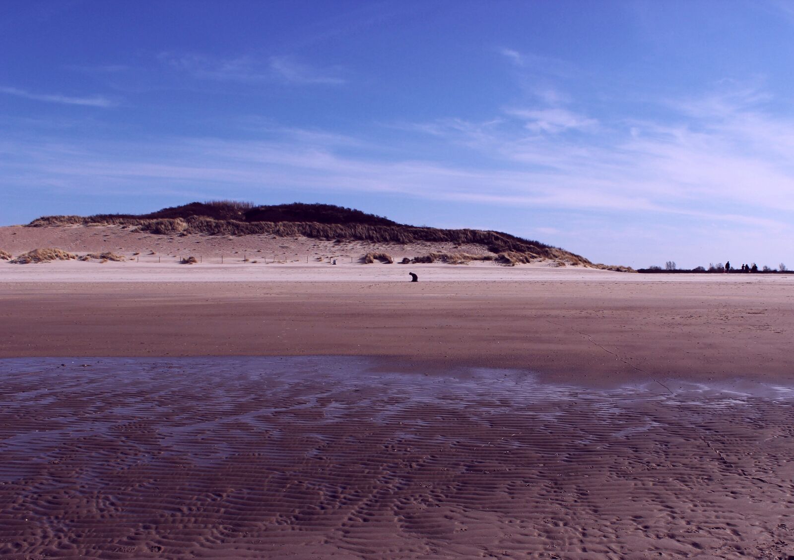 Canon EOS 600D (Rebel EOS T3i / EOS Kiss X5) sample photo. Alone, sea, nature photography