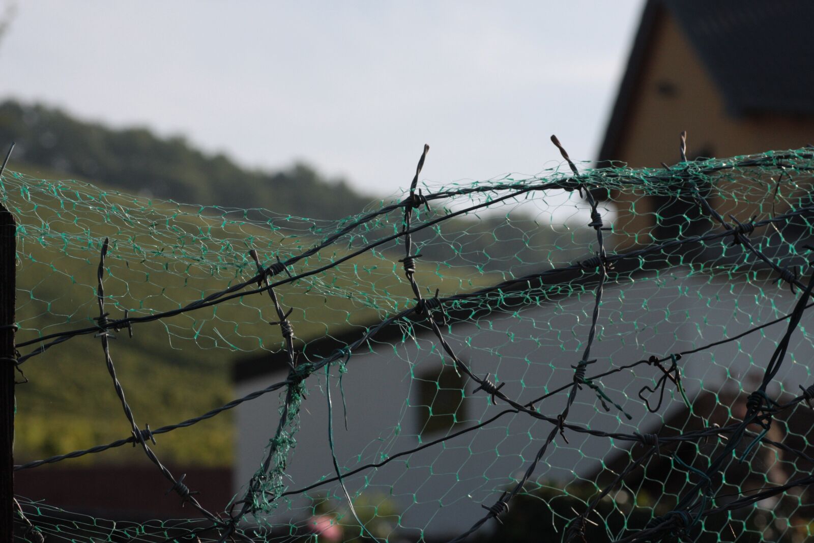 Canon EOS 40D sample photo. Barbed wire, fence, wire photography