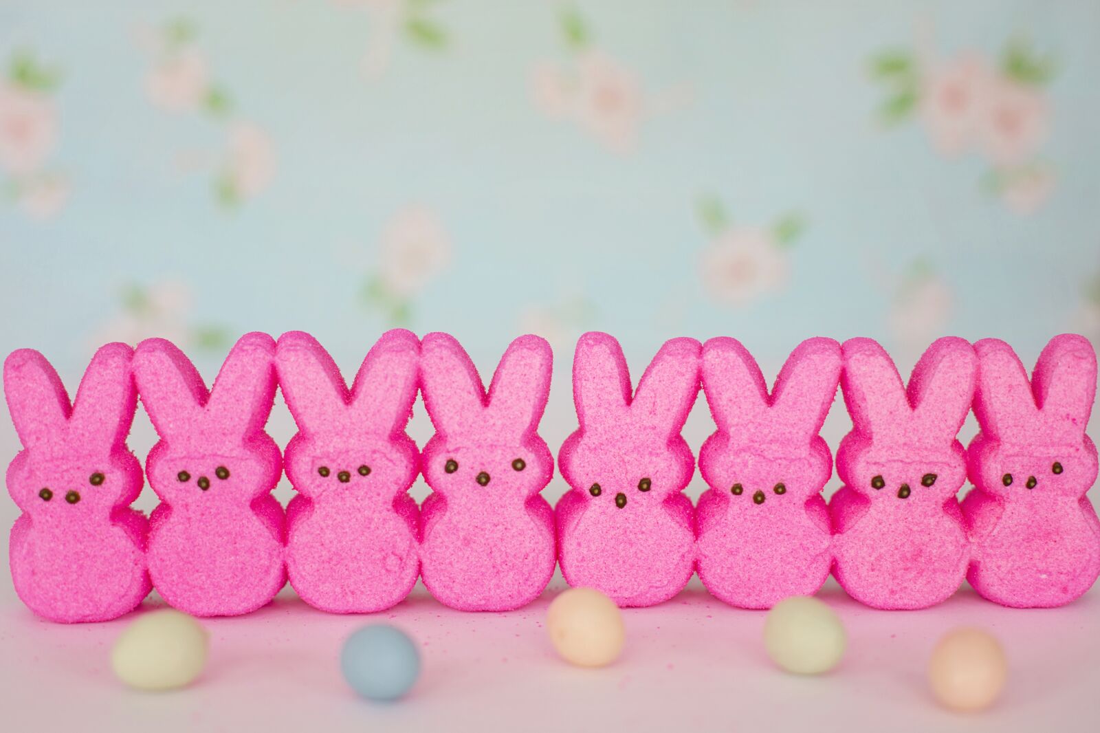 Canon EOS 5D Mark III + Canon EF 50mm F1.4 USM sample photo. Peeps, pink, easter photography