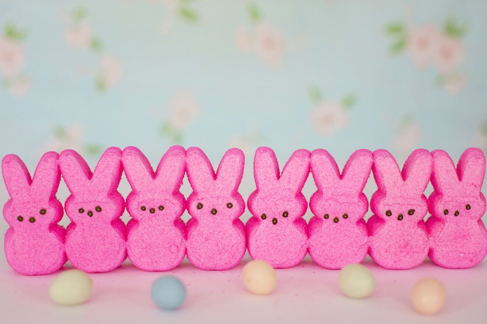 Canon EF 50mm F1.4 USM sample photo. Peeps, pink, easter photography