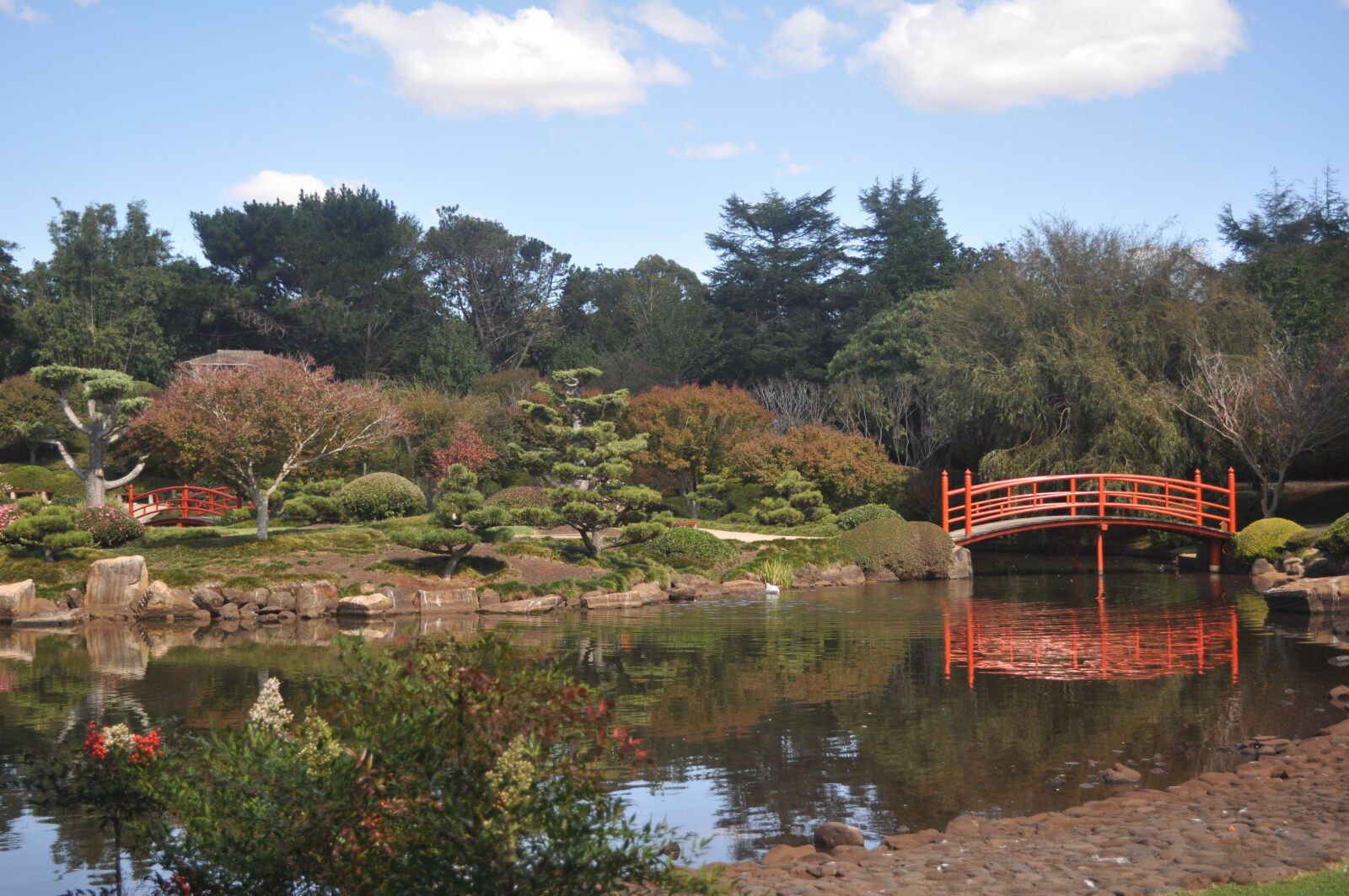 Nikon D90 sample photo. Japanese, garden, lake photography