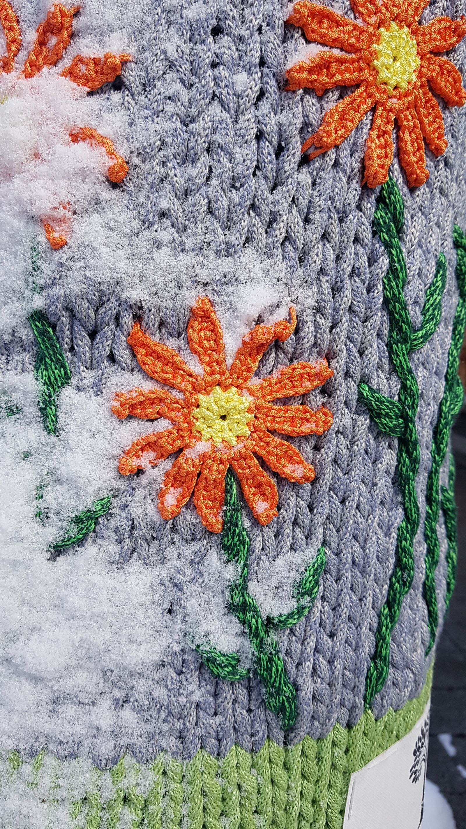 Samsung Galaxy Note Fan Edition sample photo. Snow, flower, winter photography