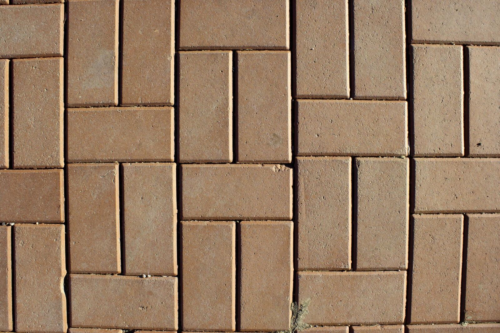 f/3.5-5.6 IS sample photo. Tan bricks, pavers, sidewalk photography