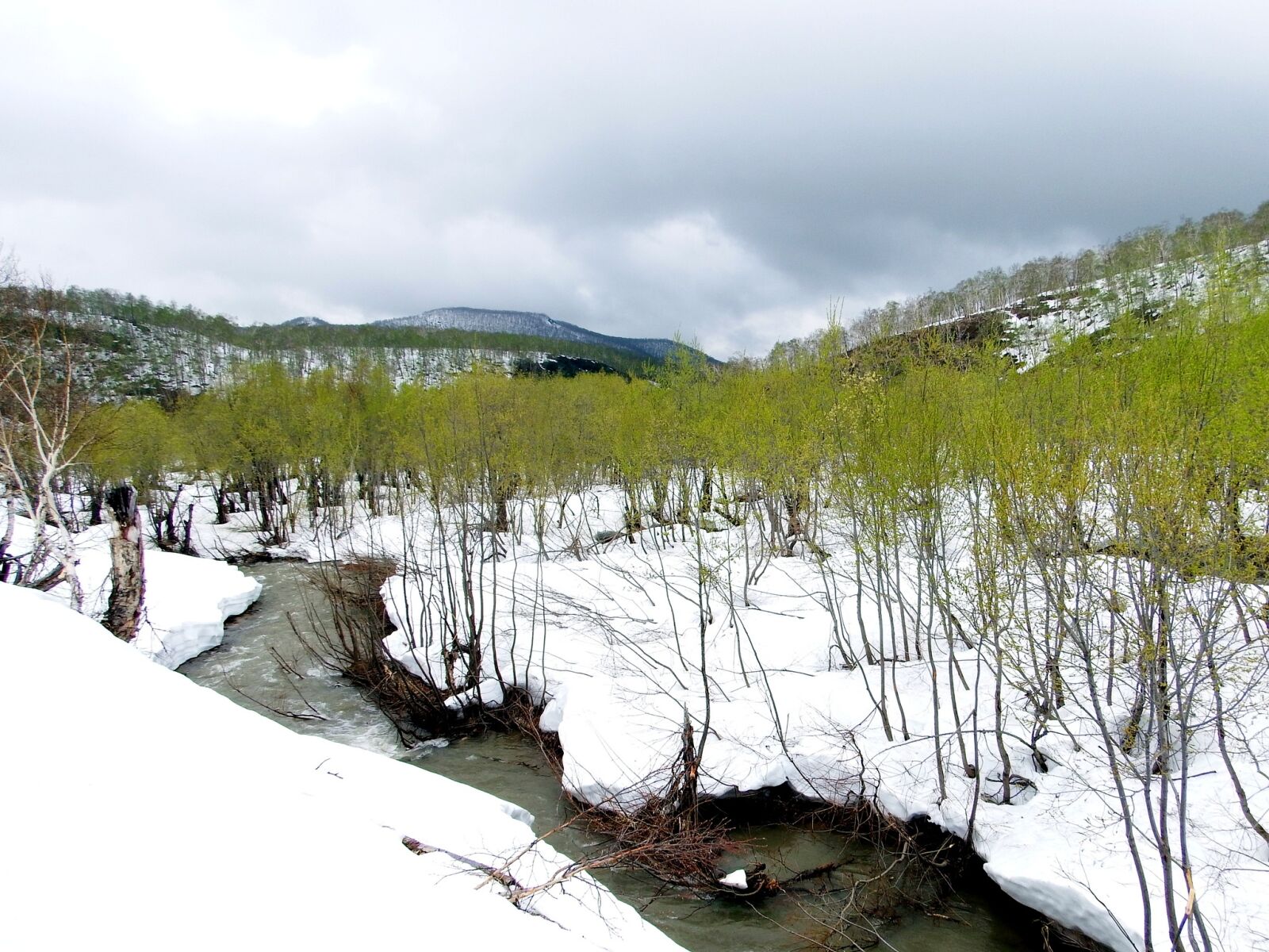 Fujifilm FinePix S1 sample photo. Spring, winter, summer photography