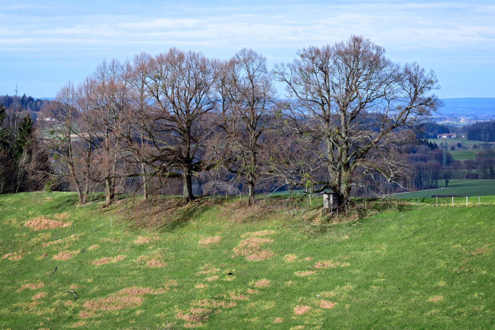 Nikon D7100 sample photo. Trees, silhouette, group photography