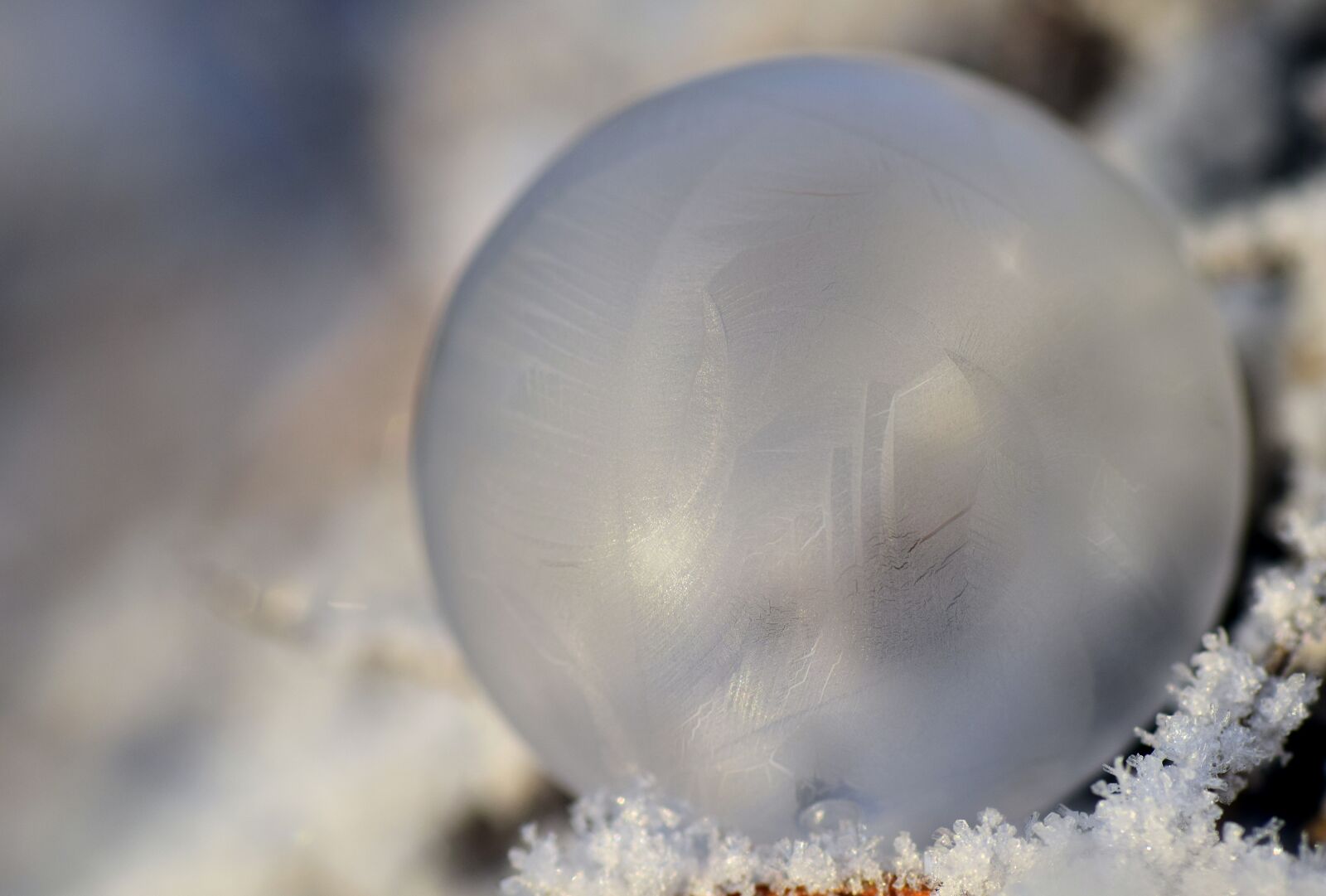 Nikon D3300 sample photo. Bubble, soap bubble, frozen photography