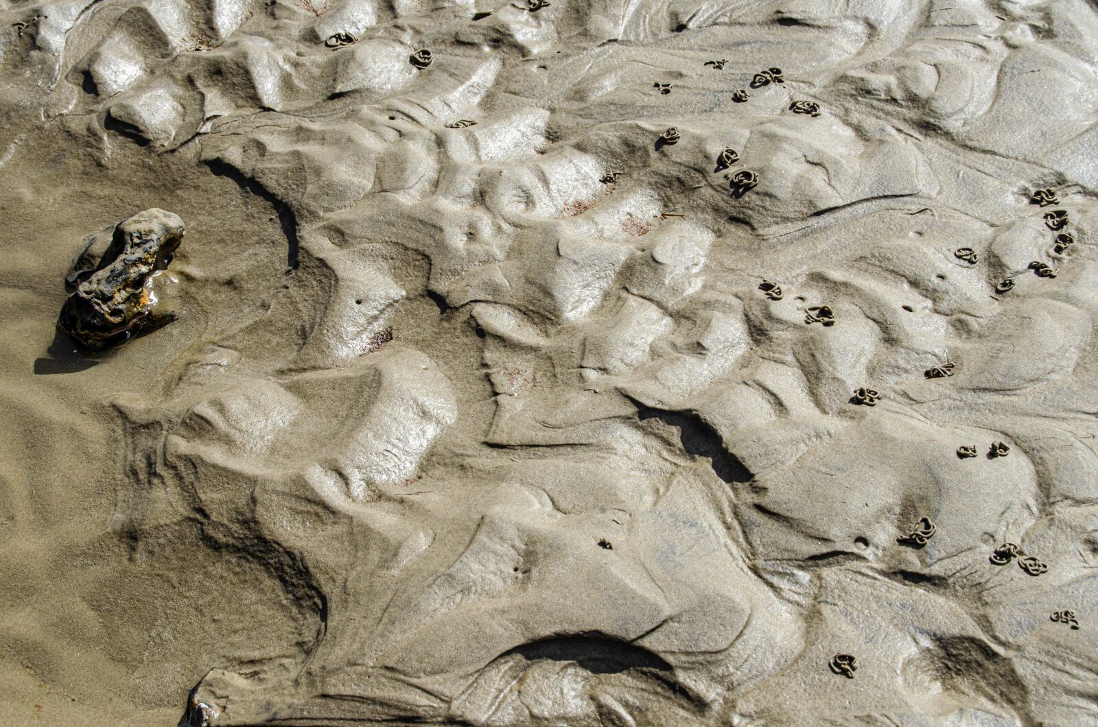 Nikon D5100 sample photo. Sand, lugworm, sparkle photography