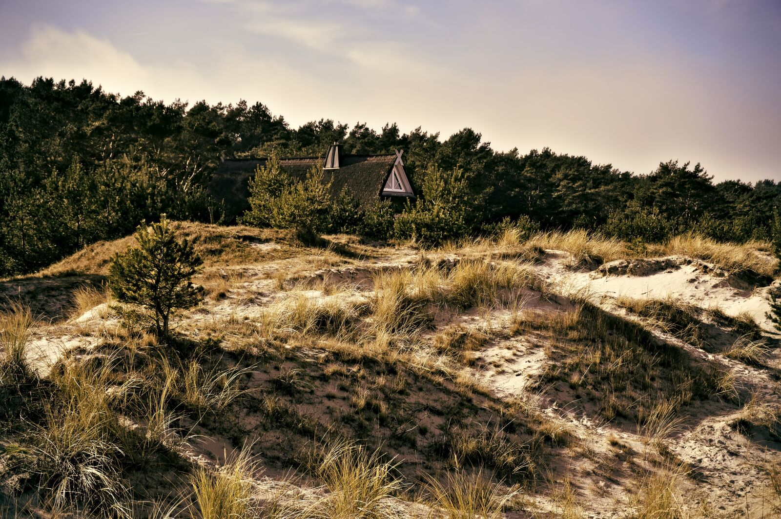 Nikon D3200 sample photo. Dune landscape, dunes house photography