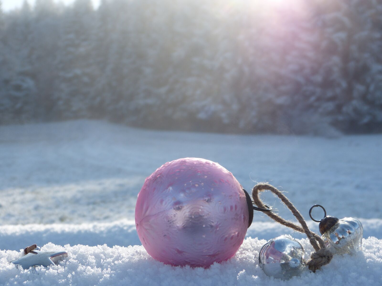 Panasonic Lumix DMC-FZ150 sample photo. Winter, christmas ornament, nature photography