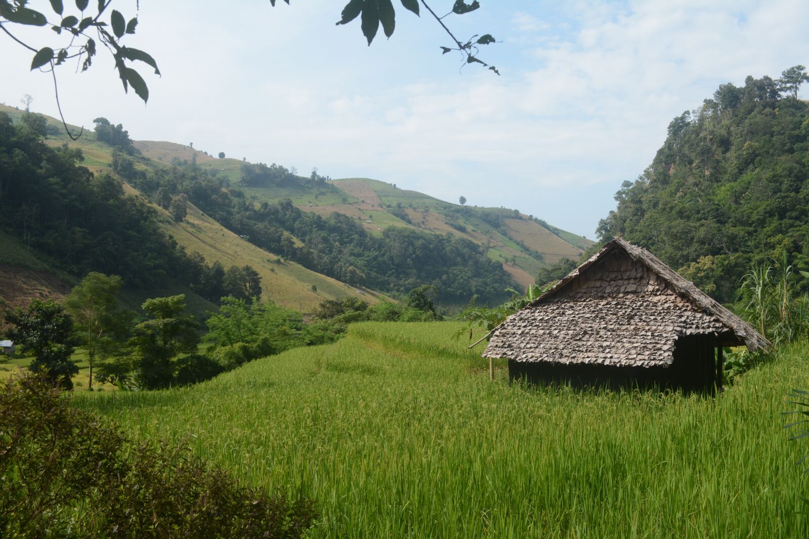 Nikon D5200 sample photo. Hut, field, nature photography