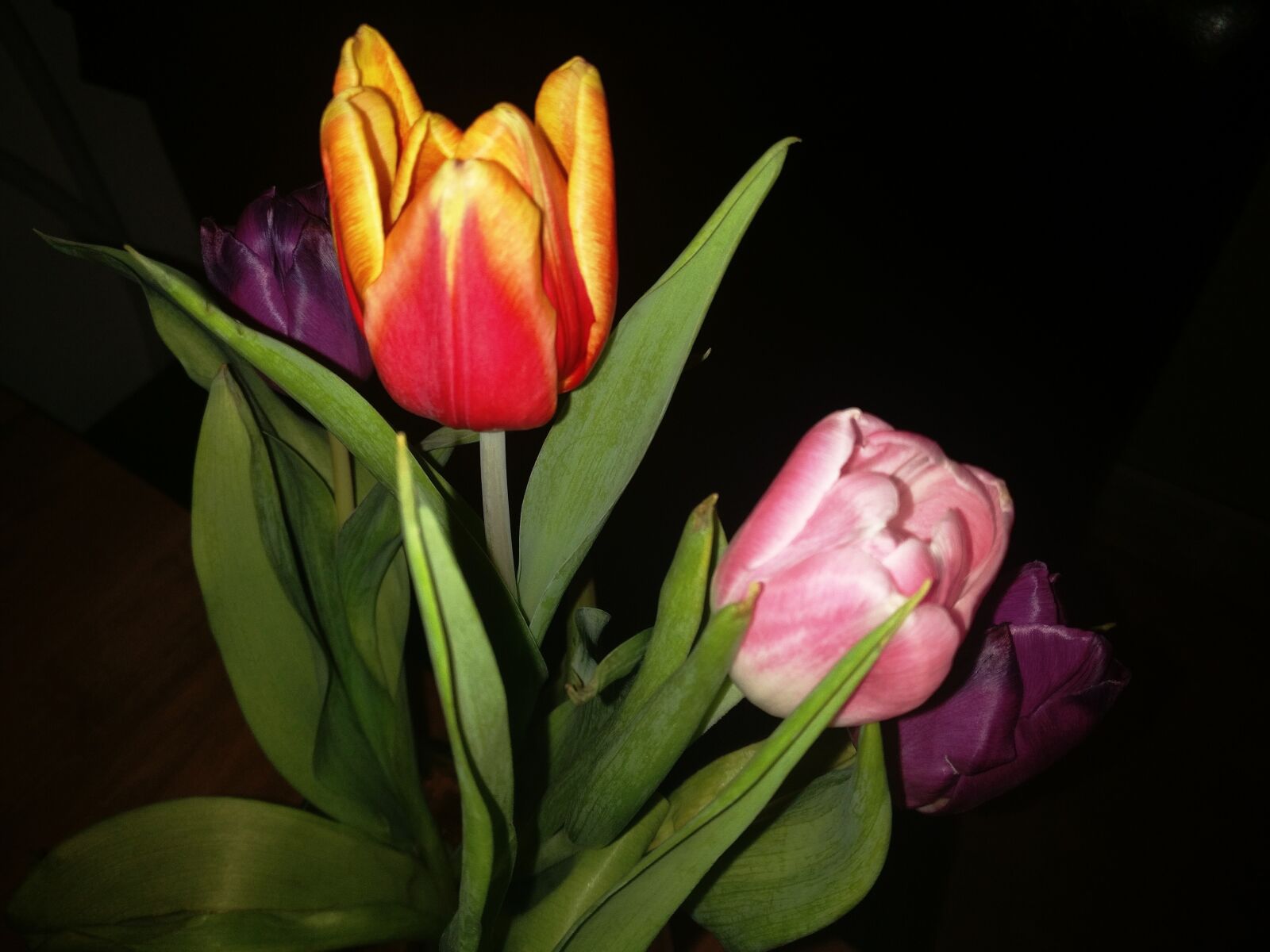 OnePlus A3010 sample photo. Tulips, flower, holland photography