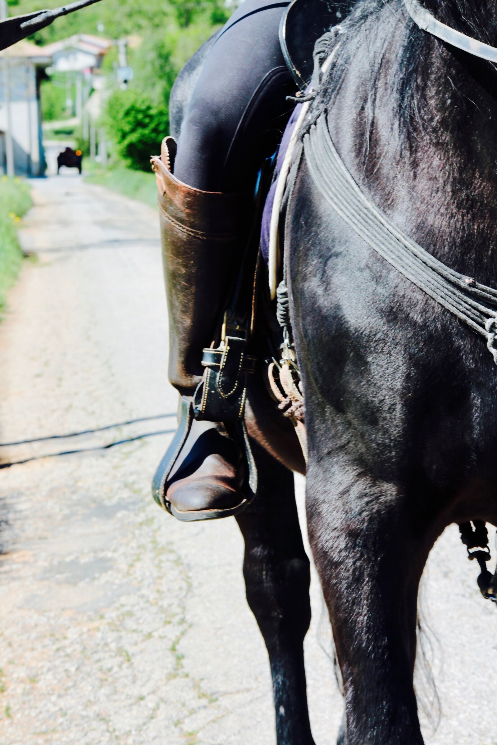 Canon EOS M sample photo. Bracket, horse, campaign photography
