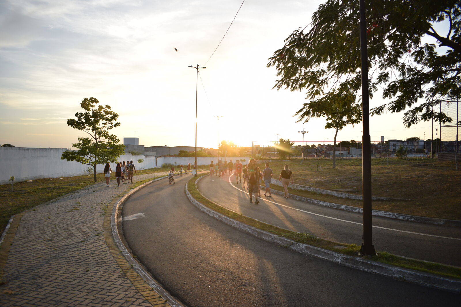 Nikon D3300 sample photo