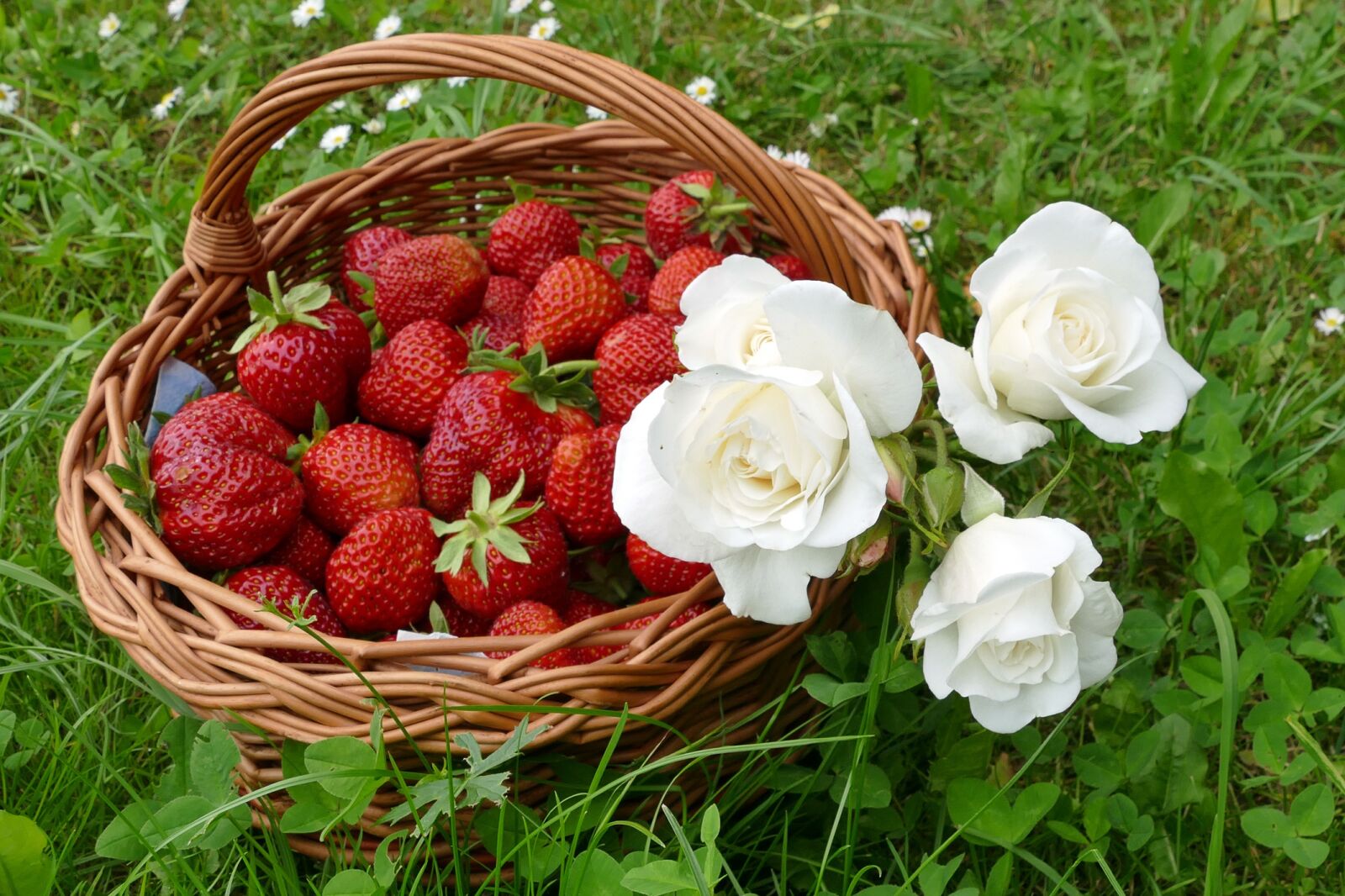 Panasonic Lumix DMC-FZ1000 sample photo. Strawberries, white roses, willow photography