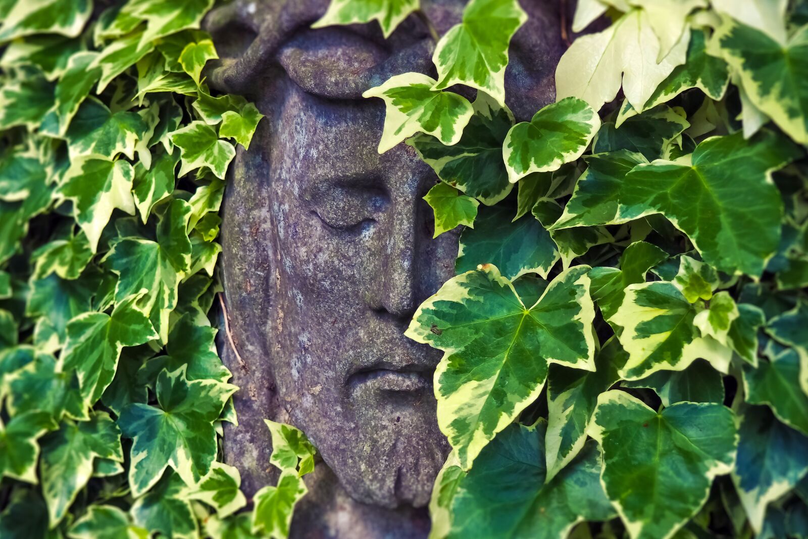 Olympus OM-D E-M10 sample photo. Tombstone, face, cemetery photography