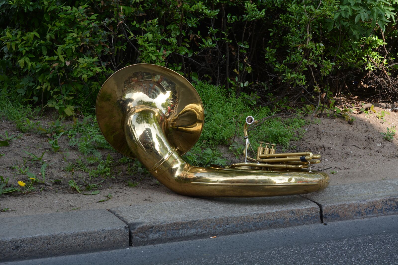 Nikon D7100 sample photo. Tuba, musical instrument, brass photography