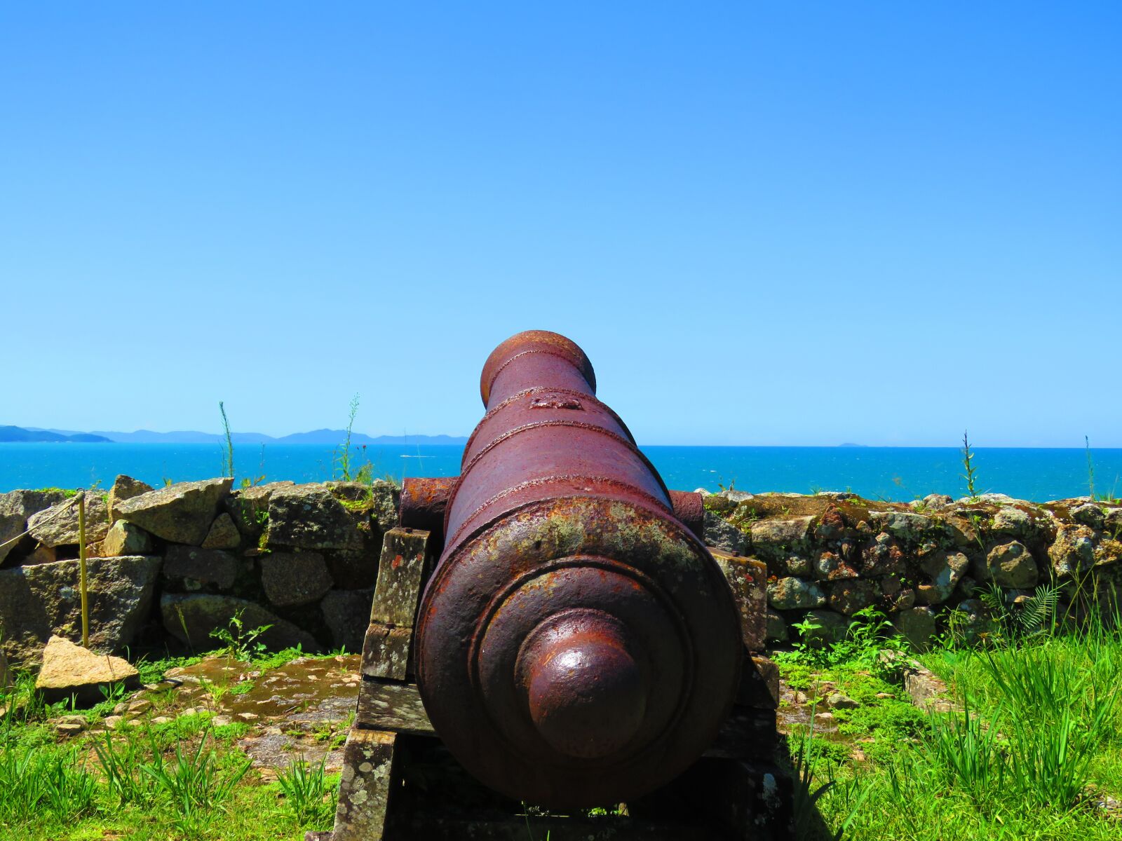 Canon PowerShot SX60 HS sample photo. Strong, cannon, nature photography