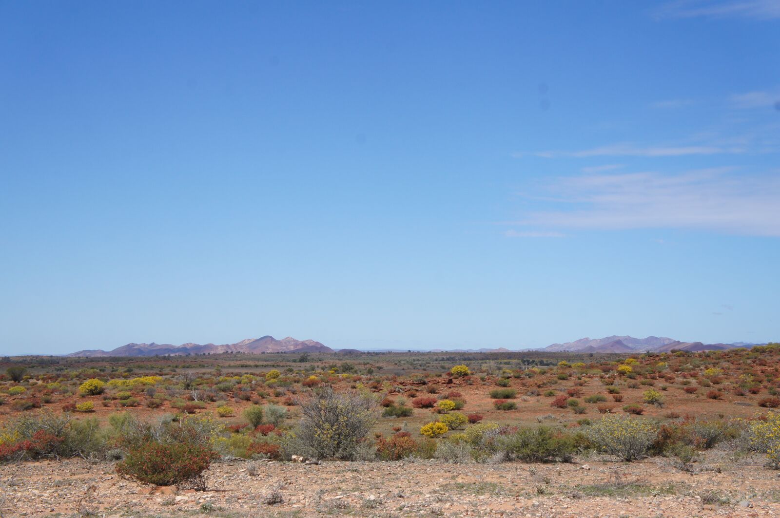 Sony Alpha NEX-C3 + Sony E 18-55mm F3.5-5.6 OSS sample photo. Australian desert, outback australia photography