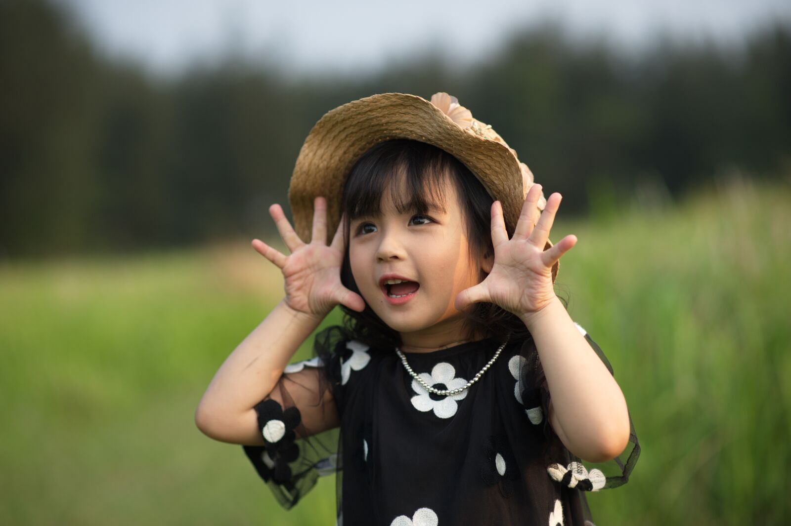 Nikon D700 sample photo. Girl, child, dress photography