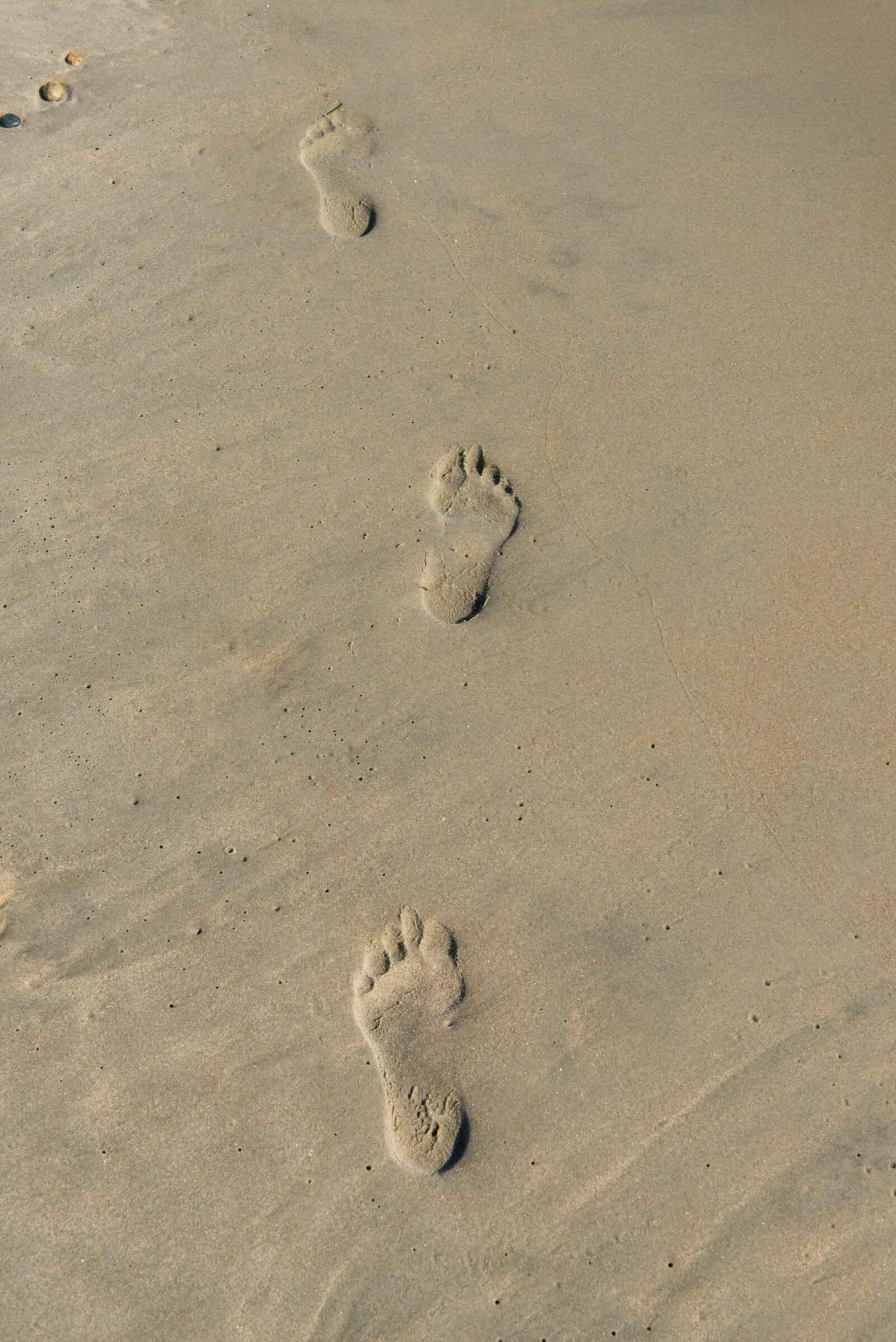 Nikon D800 sample photo. Beach, sand, footprints mohan photography