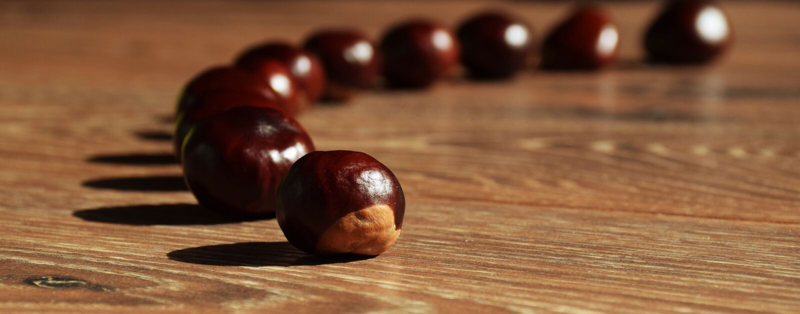 Nikon D5300 sample photo. Chestnuts, autumn, brown photography