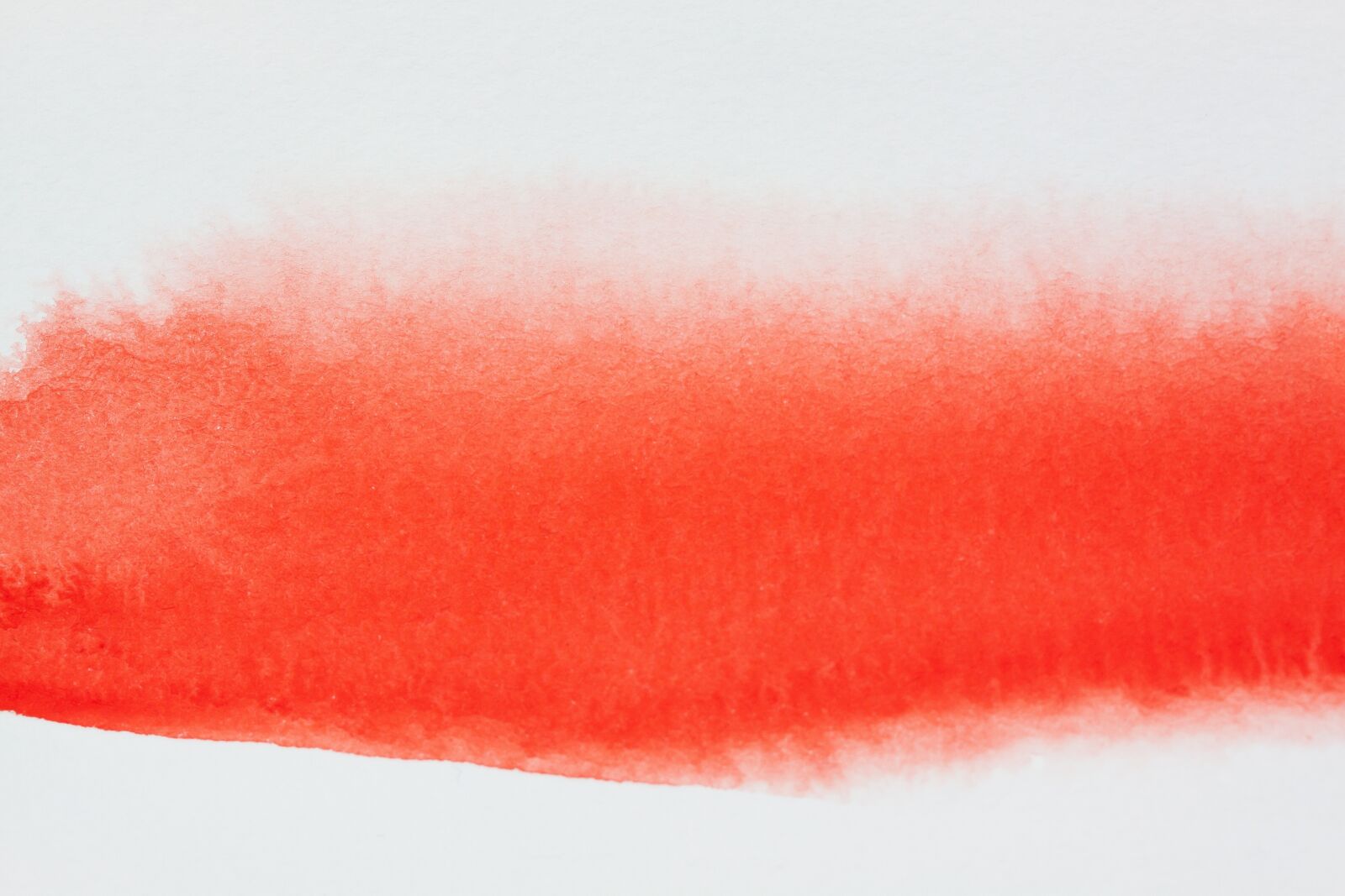 Canon EOS 50D sample photo. Watercolour, watercolor, paint photography