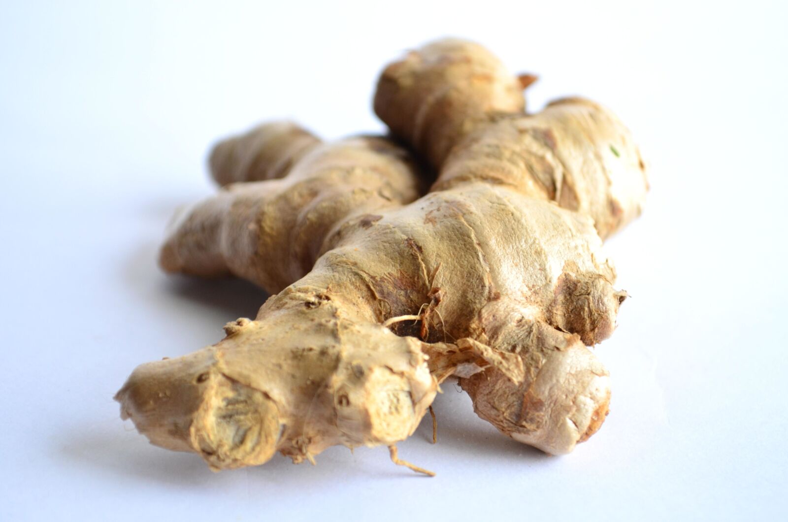 Nikon D5100 sample photo. Ginger, root photography