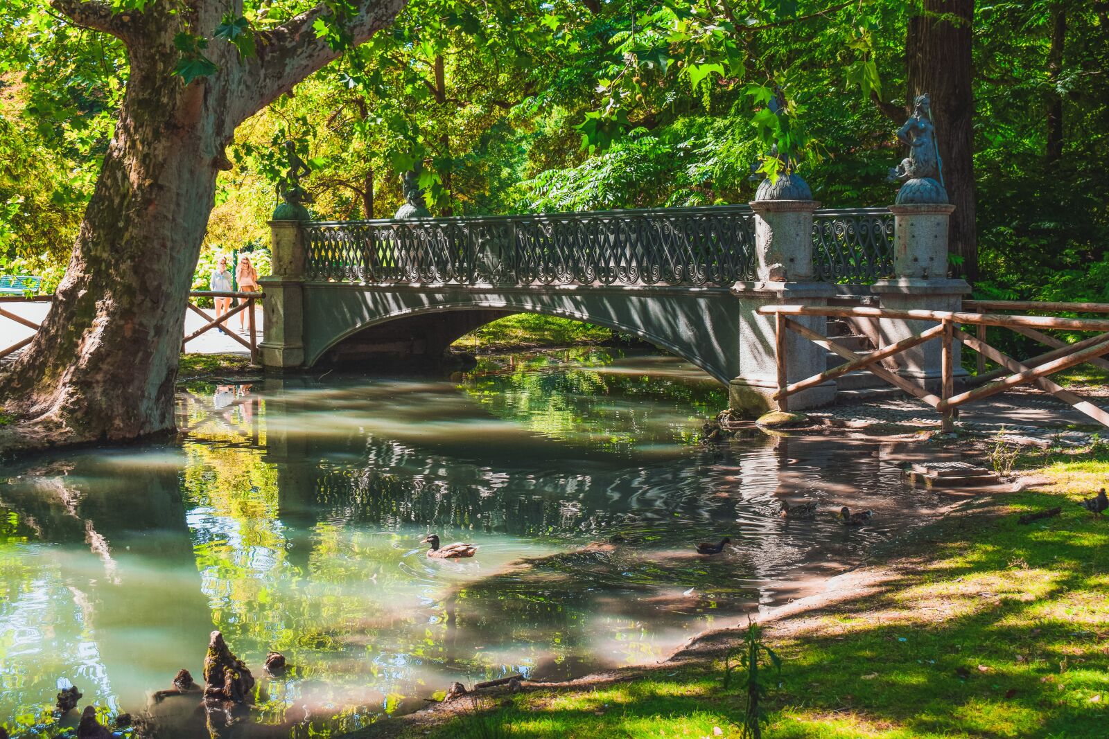Nikon D3300 sample photo. Bridge, park, lake photography