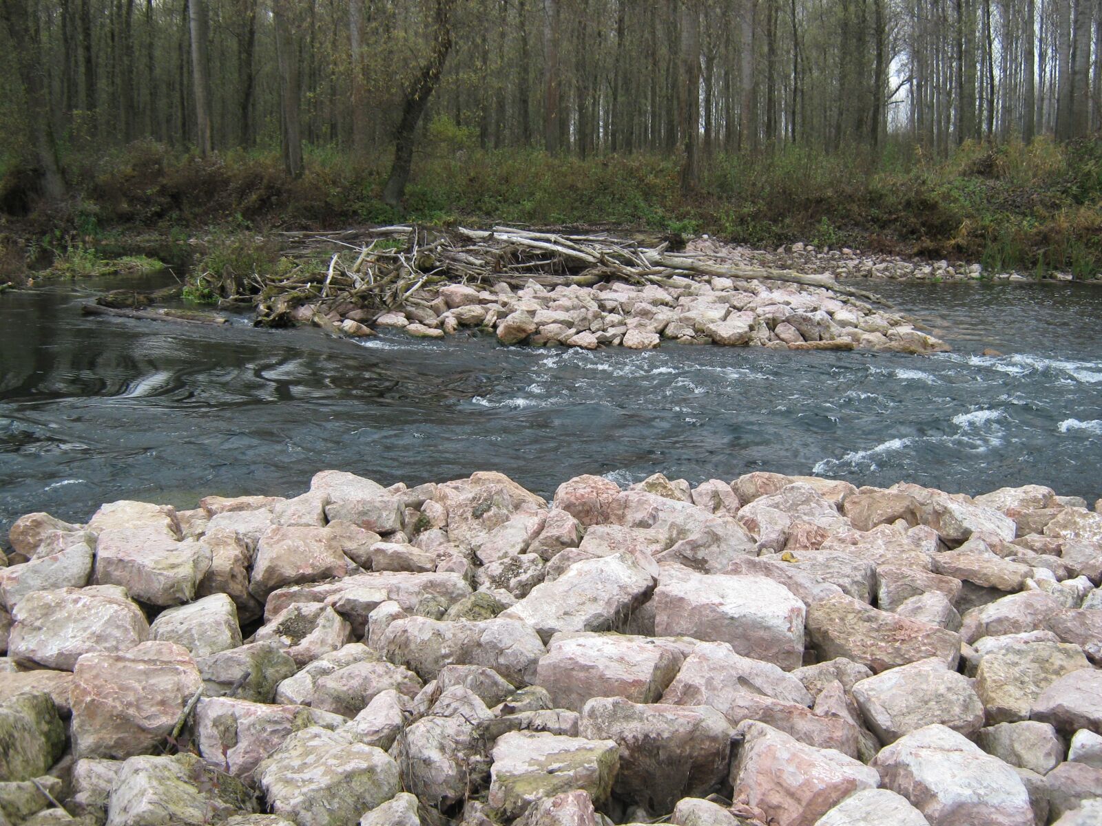 Canon PowerShot A470 sample photo. "Stream, danube, river" photography