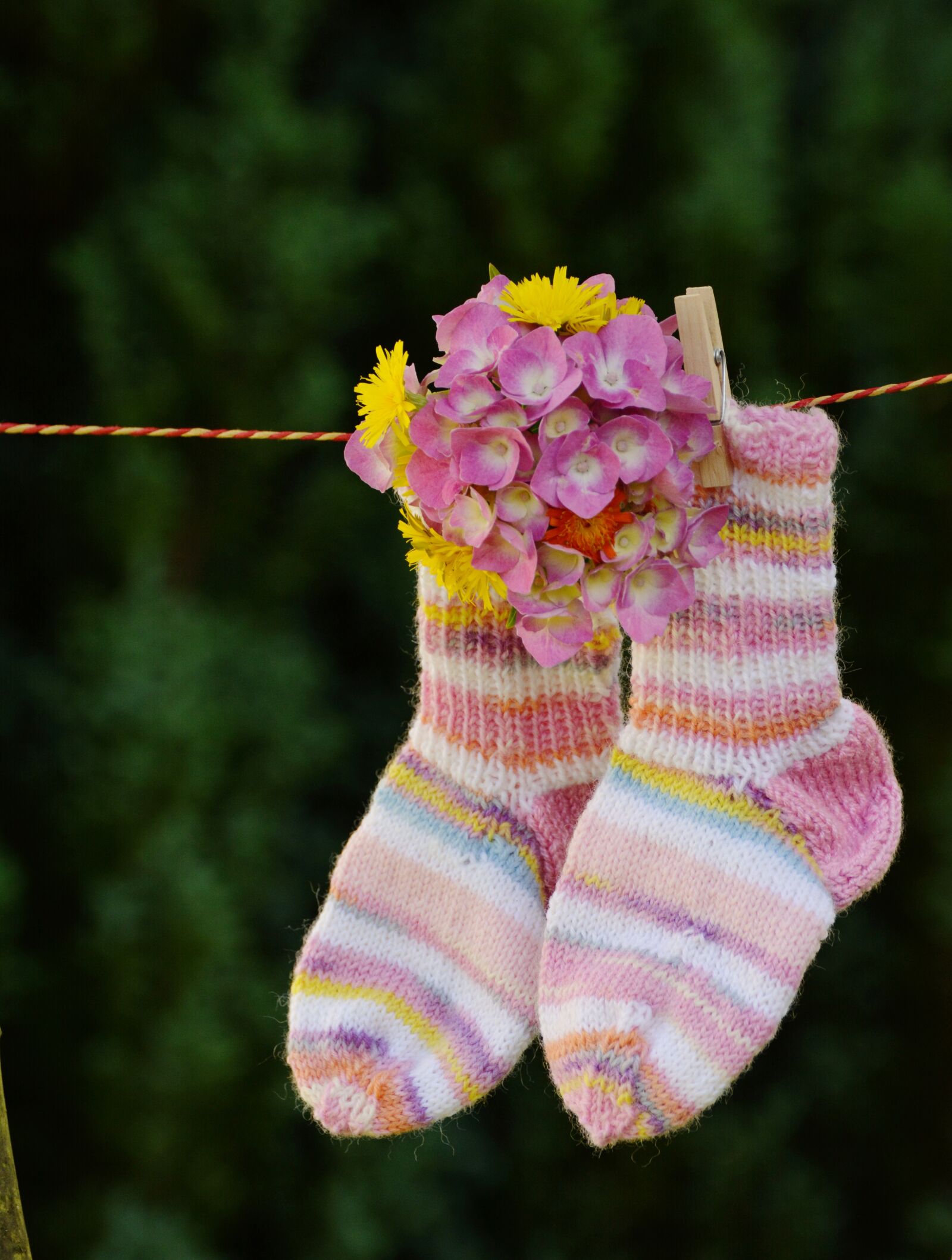 Nikon D5200 sample photo. Ankle socks, children socks photography