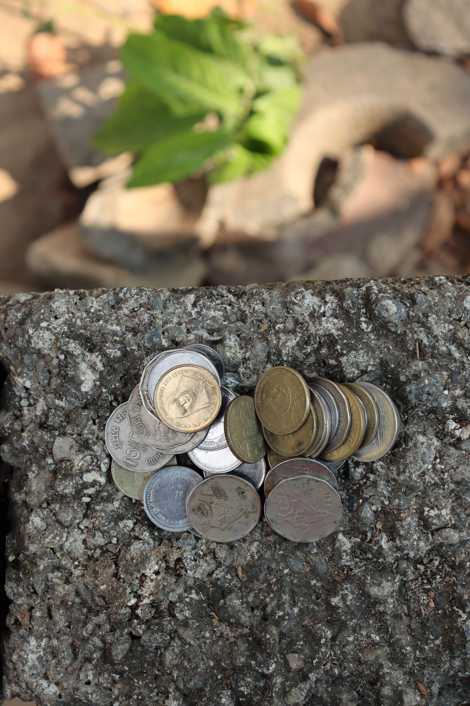 Canon EOS 250D (EOS Rebel SL3 / EOS Kiss X10 / EOS 200D II) sample photo. Coin, money, finance photography