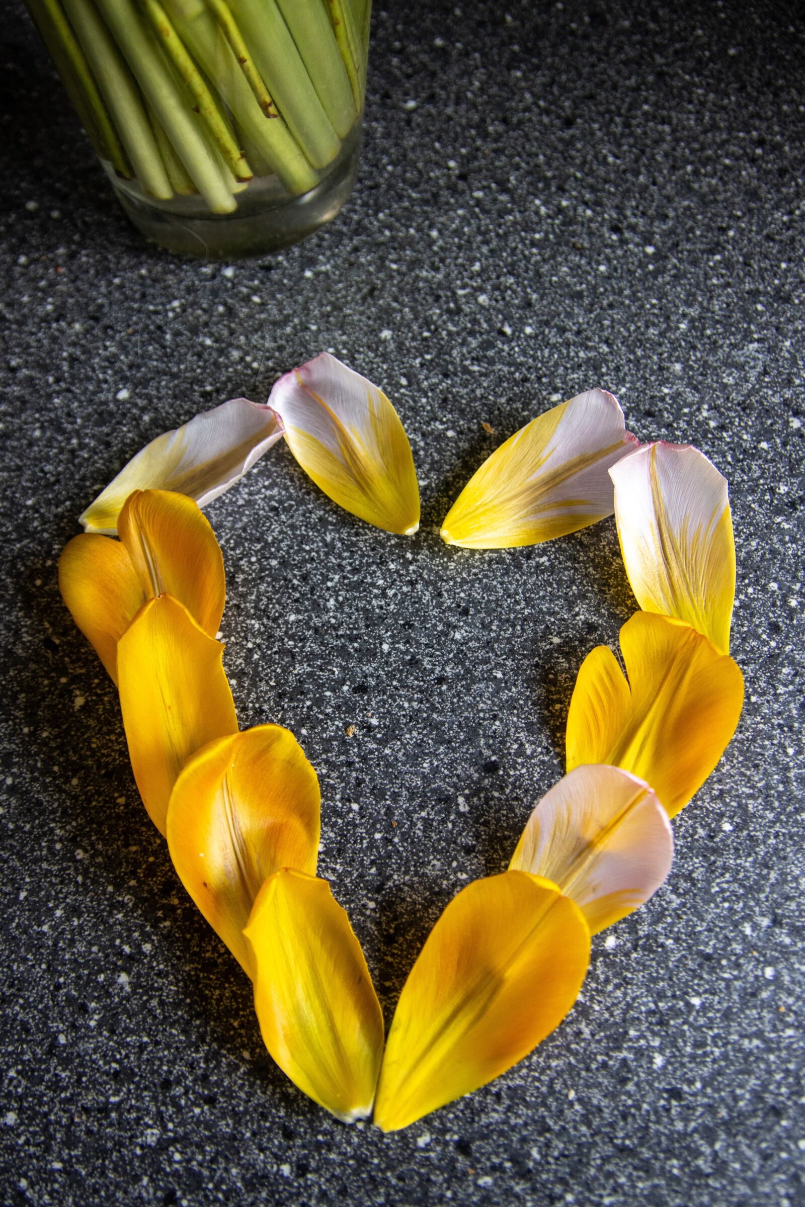 Canon EOS 90D sample photo. Heart, romantic, tulpenbluete photography