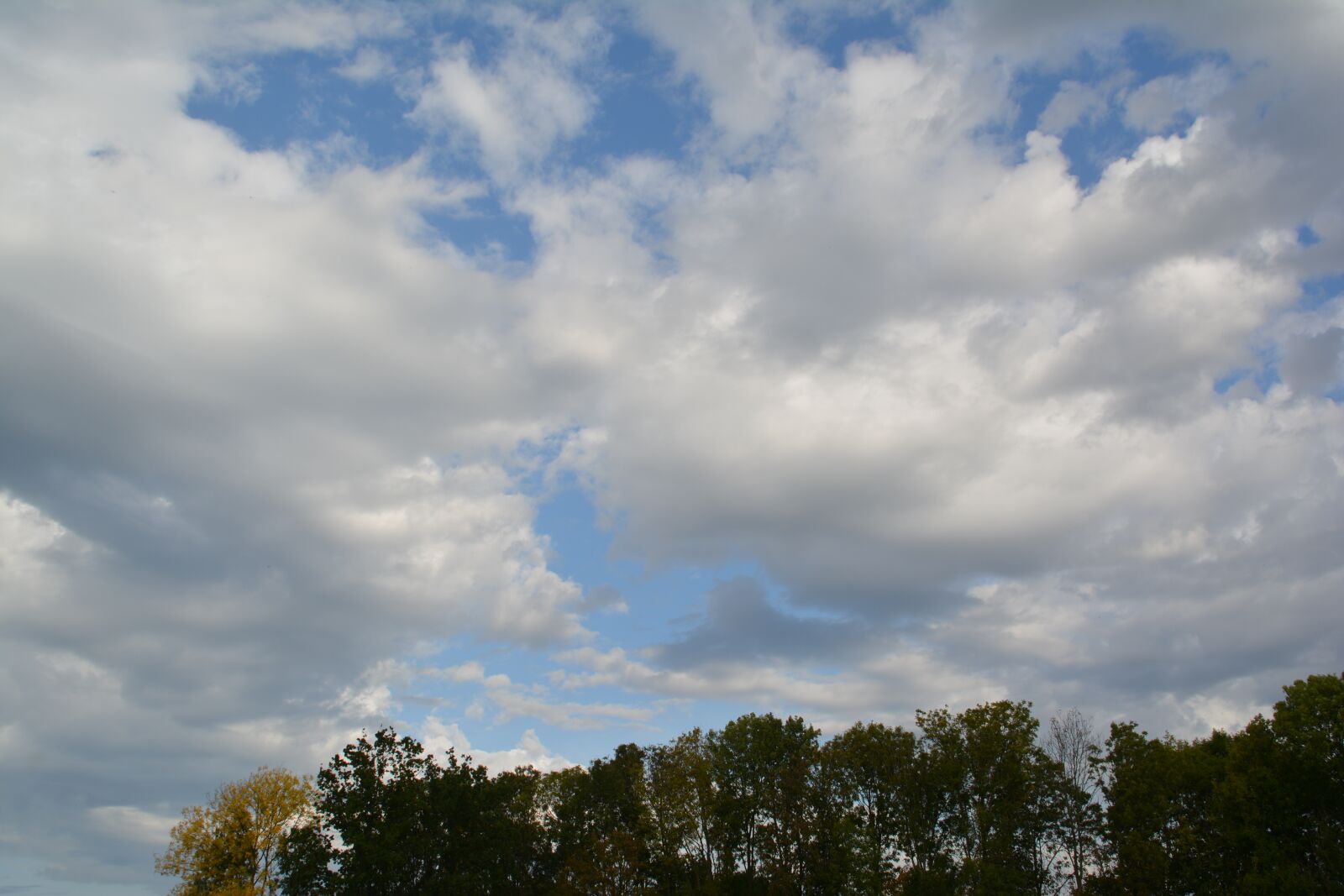 Nikon D7100 sample photo. Schinveld, bovenmeer, wilfried photography