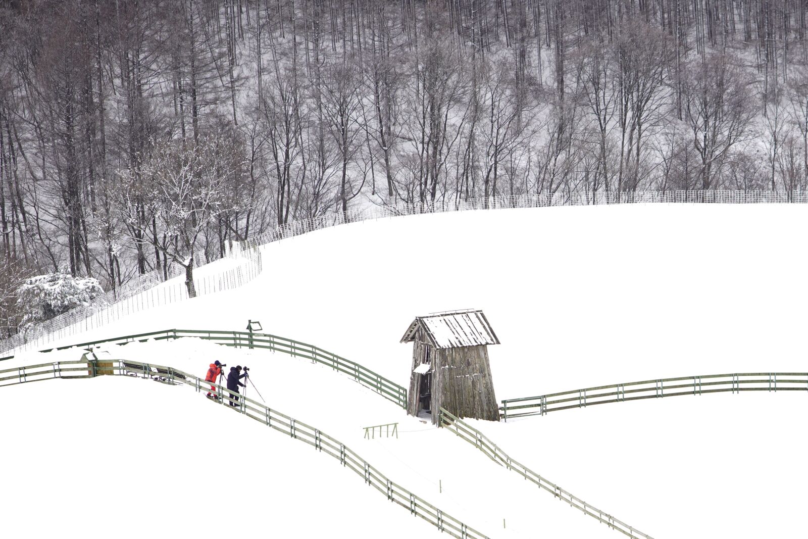 Canon EF 70-200mm F2.8L USM sample photo. Snow, white, winter photography