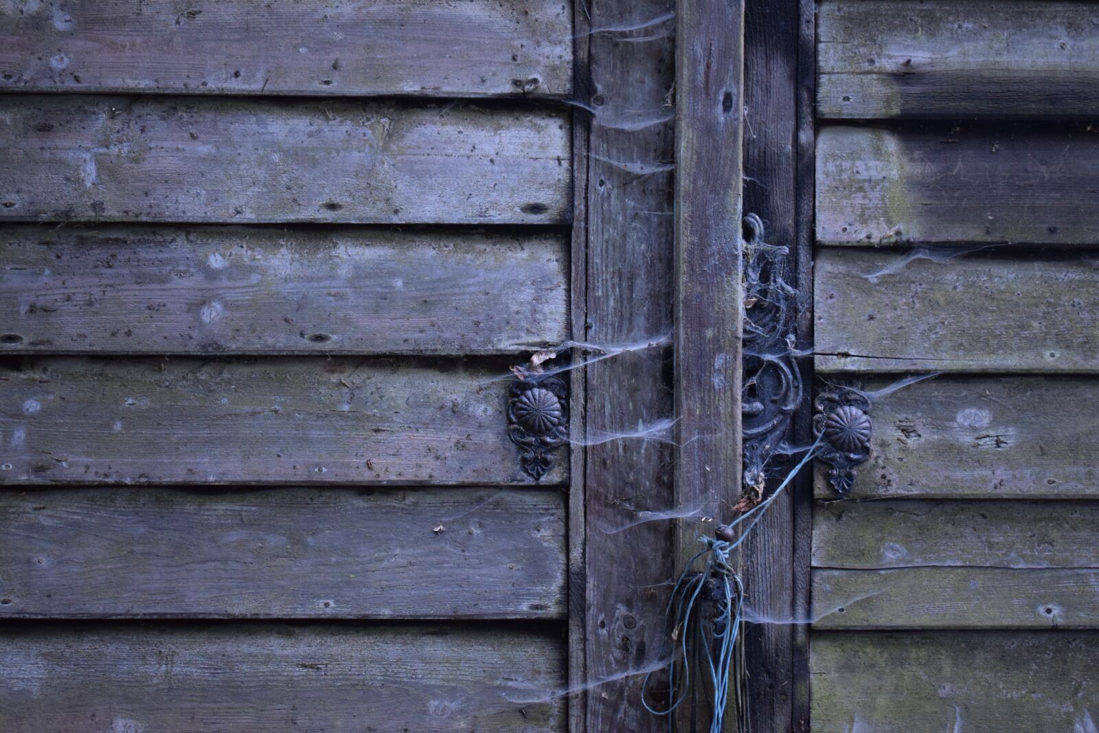 Nikon D3300 sample photo. Window shutter, lock, rustic photography