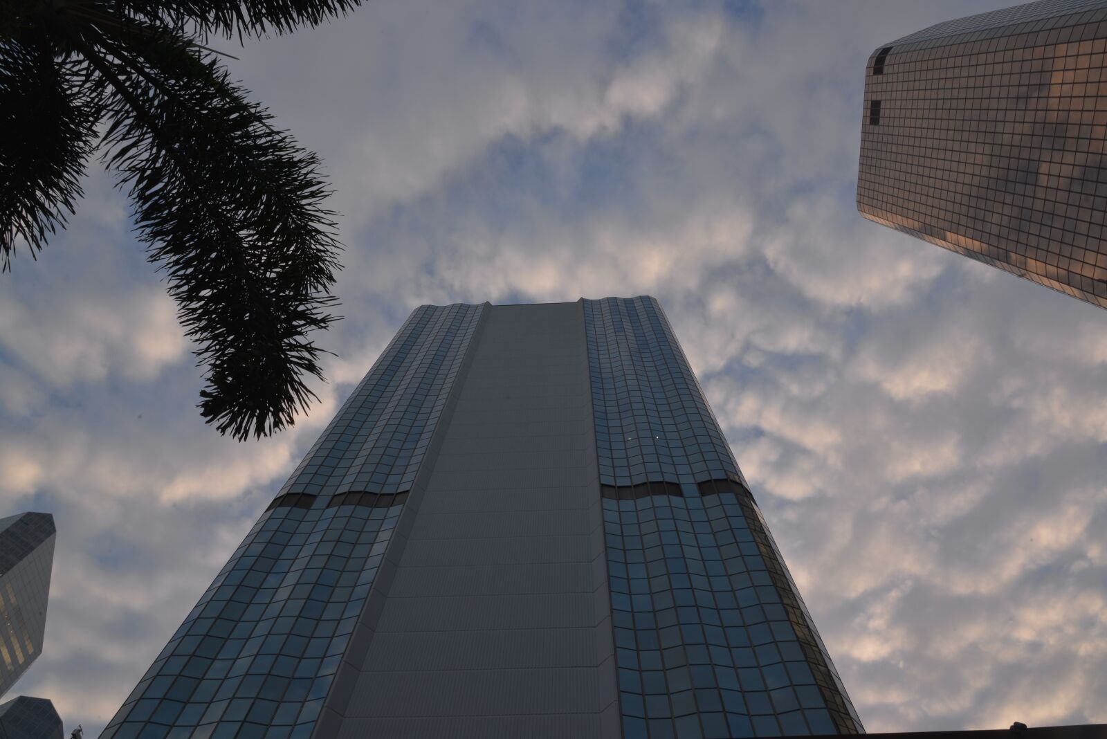 Nikon D610 sample photo. Brisbane city, cityscape, skyscraper photography