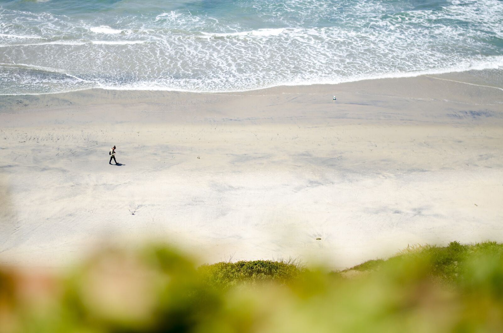 Nikon D7000 sample photo. Usa, california, san diego photography