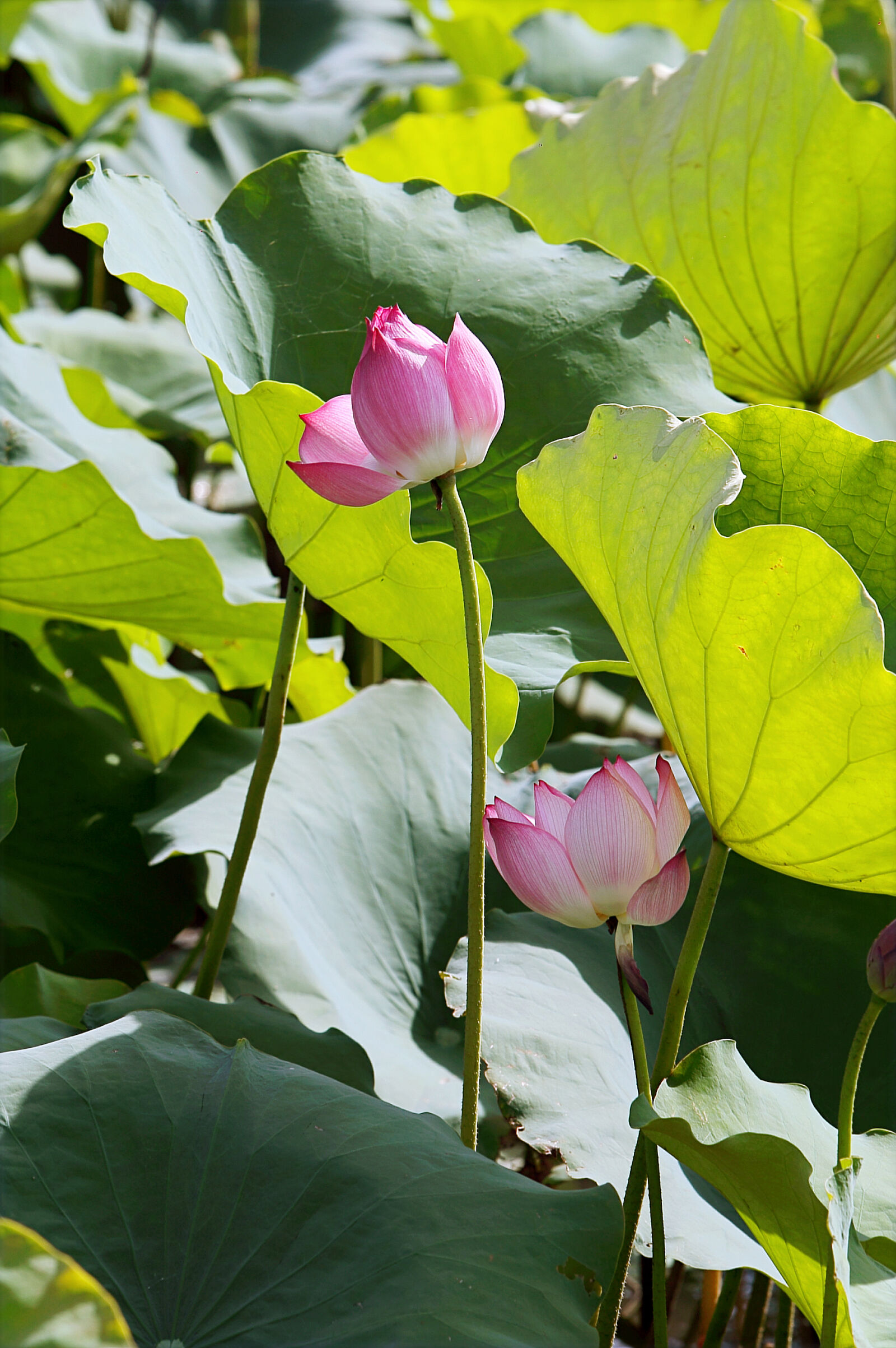 Canon EOS 6D sample photo