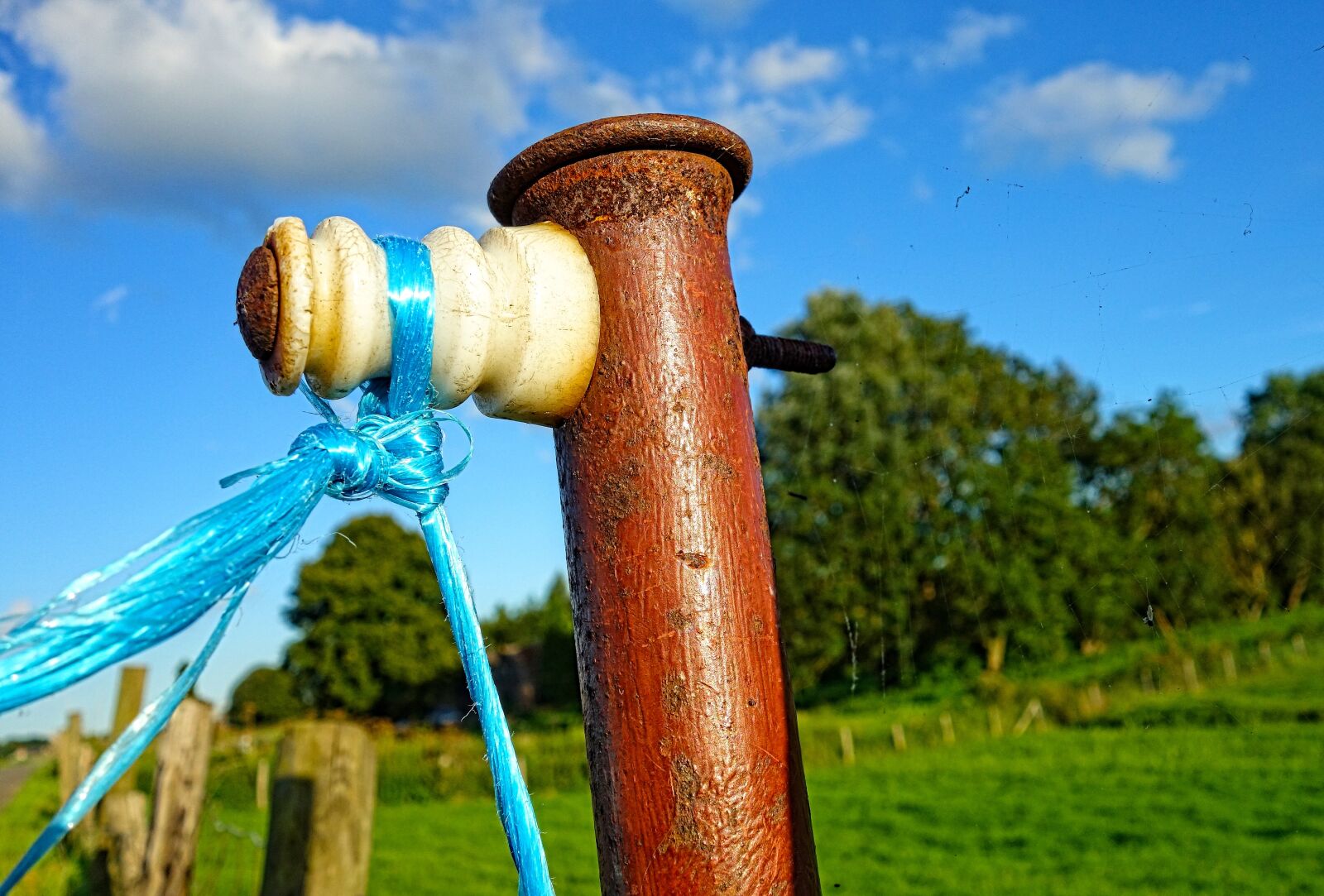 Sony Cyber-shot DSC-RX100 sample photo. Power insulator, insulator, current photography