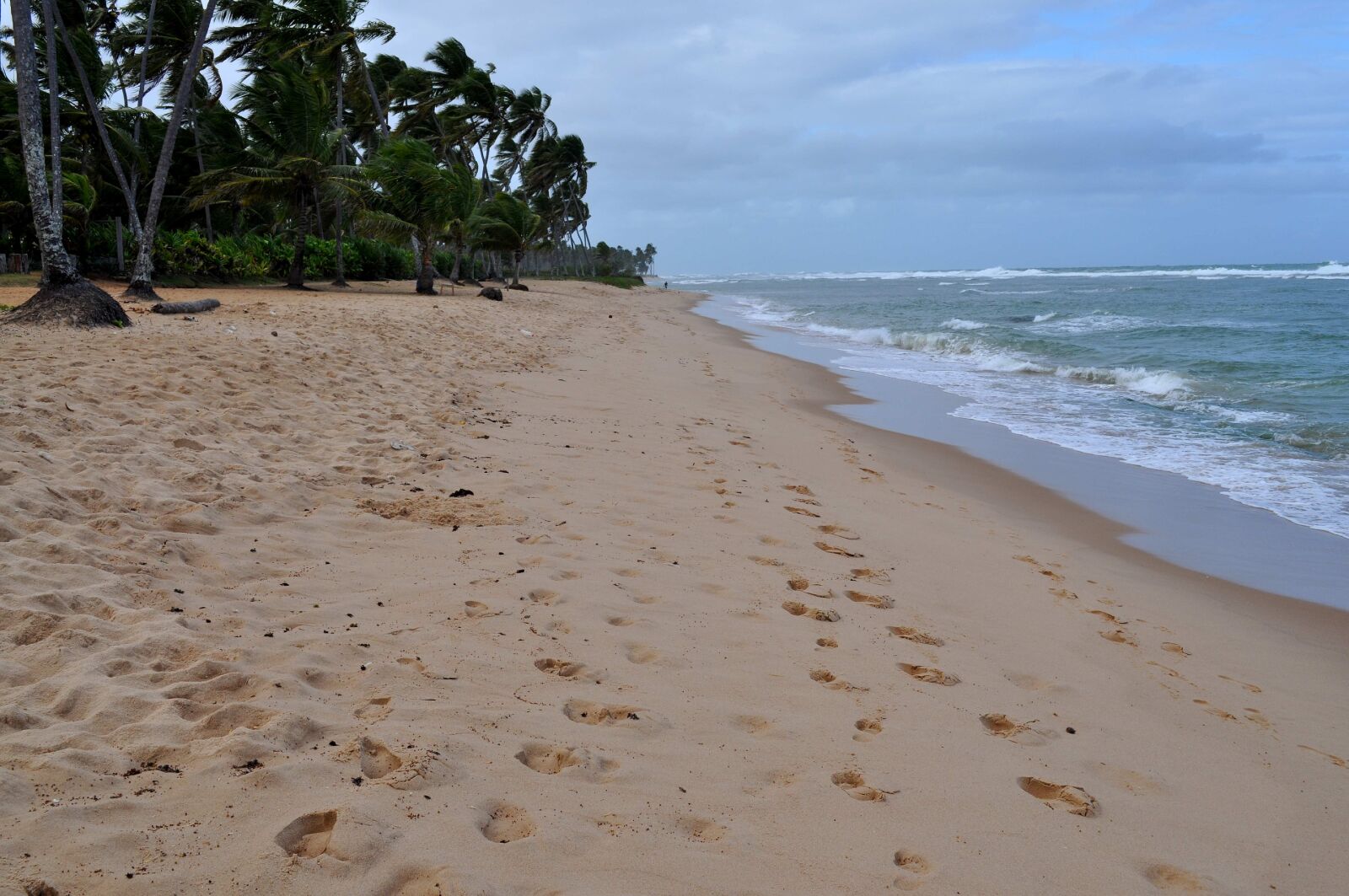 Nikon D5000 sample photo. Yellow, sand, beach photography