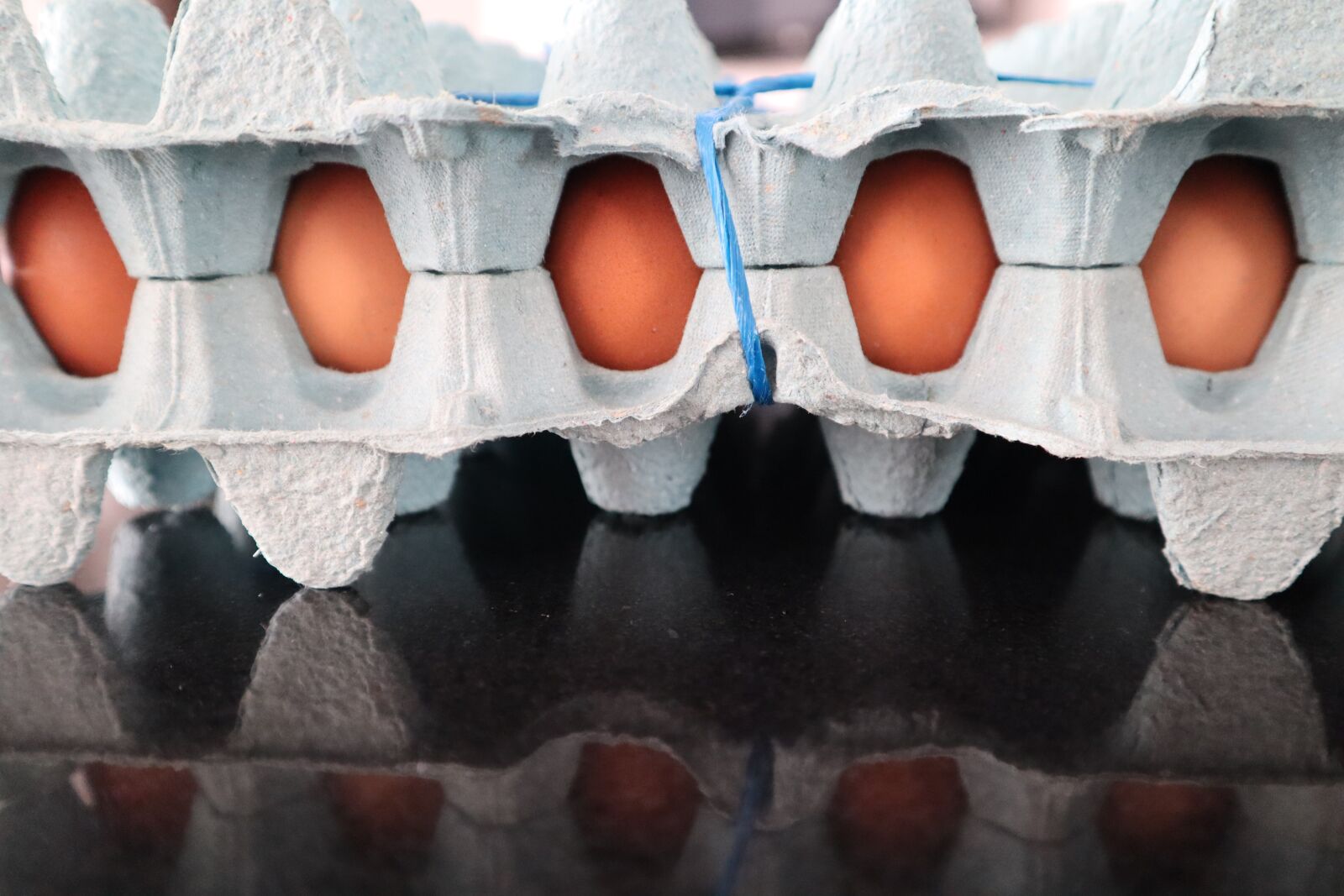 Canon EOS M50 (EOS Kiss M) sample photo. Egg, egg cup, paperboard photography