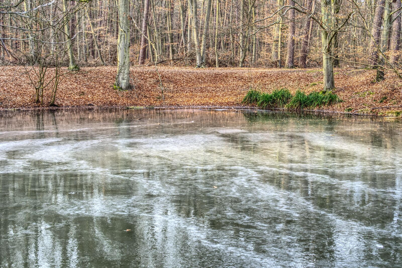 Sony a6000 + Sony E 35mm F1.8 OSS sample photo. Frozen, lake, ice photography